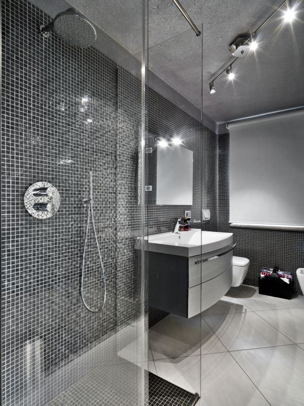 Modern Shower Setup